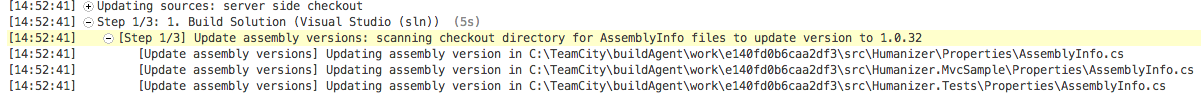 assembly info patch in build log